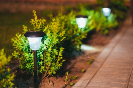 solar-powered garden lights